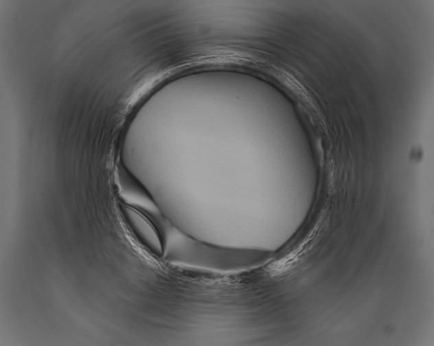 X0000088870842200706291538