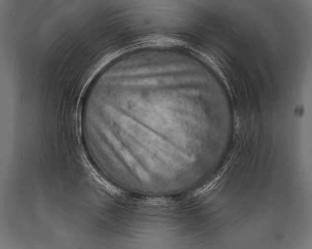 X0000088870843200706291538