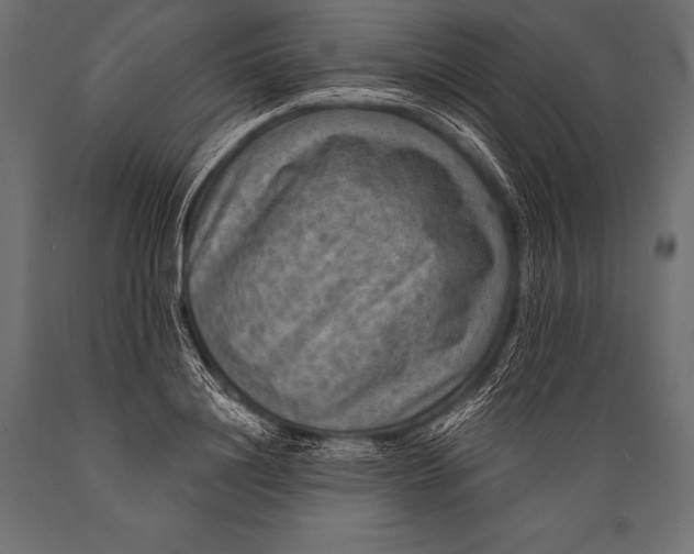 X0000088870844200706291538