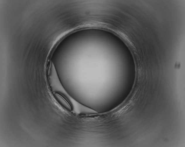 X0000088870846200706291538