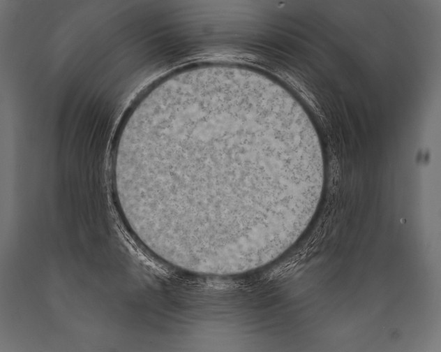 X0000088870848200706291538
