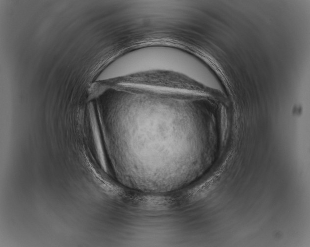 X0000088870849200706291538