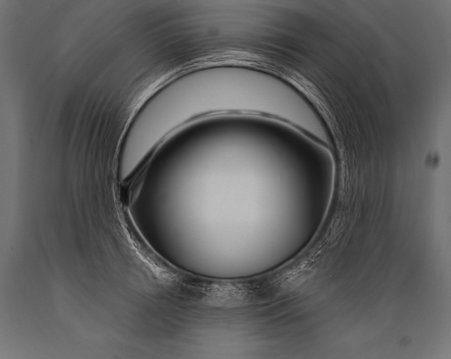 X0000088870850200706291538