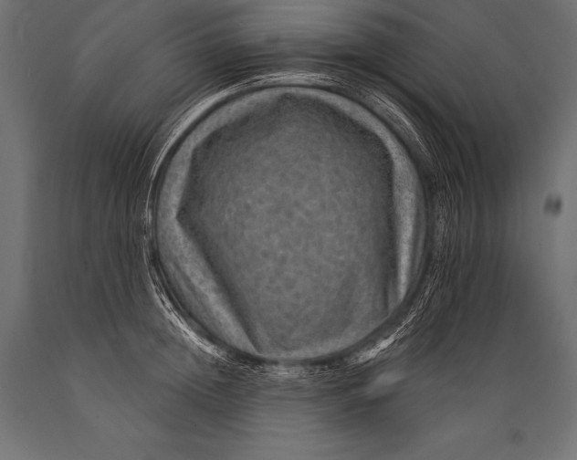 X0000088870852200706291538