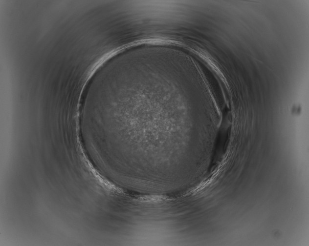 X0000088870853200706291538