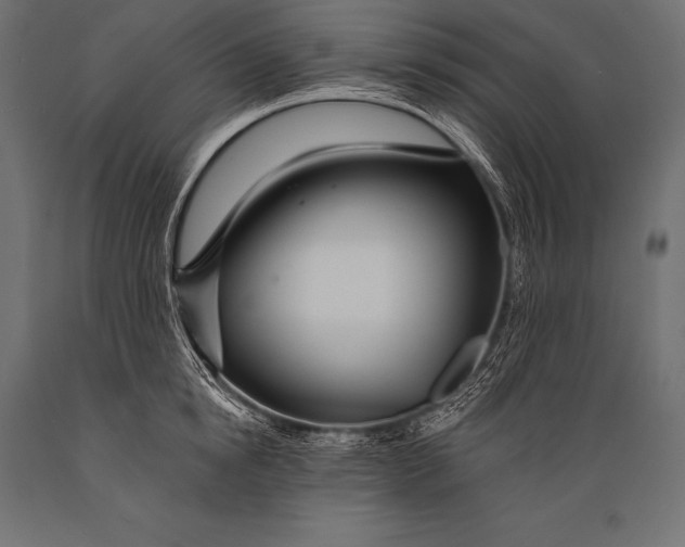X0000088870854200706291538