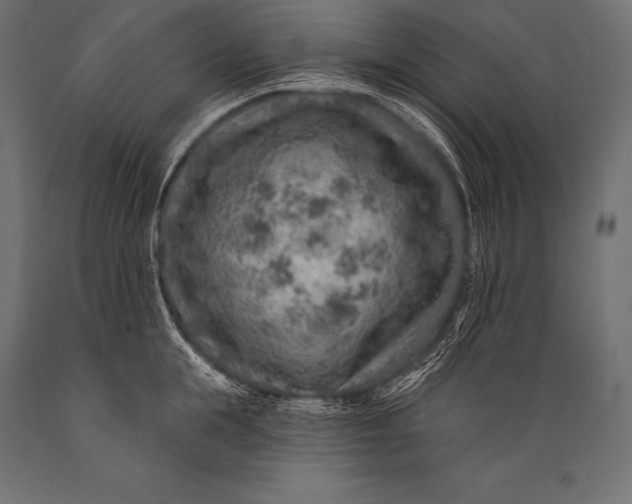 X0000088870855200706291538