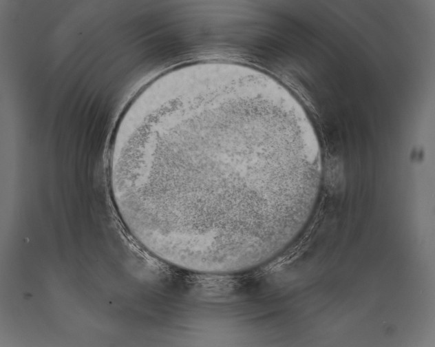 X0000088870856200706291538