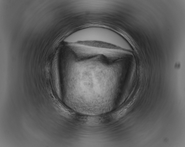 X0000088870857200706291538