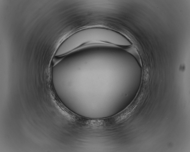 X0000088870858200706291538