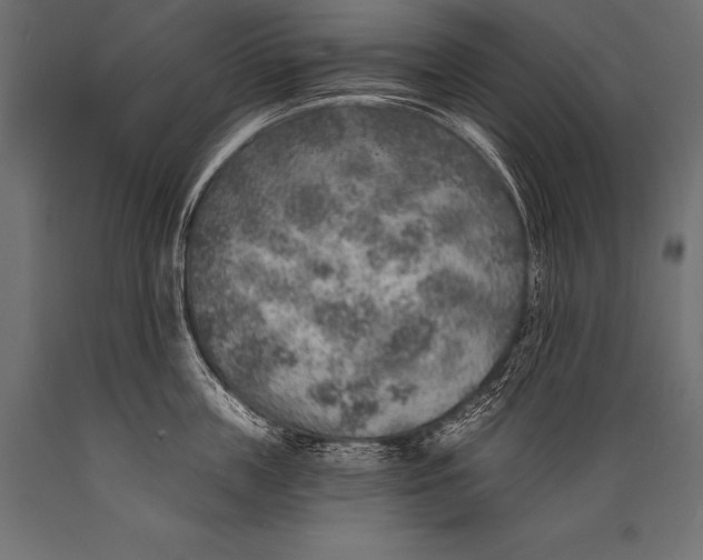 X0000088870859200706291538
