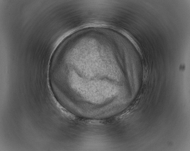 X0000088870861200706291539