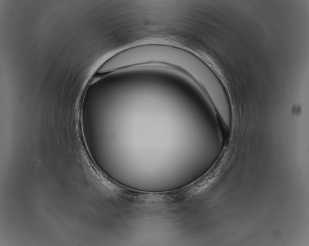 X0000088870862200706291539