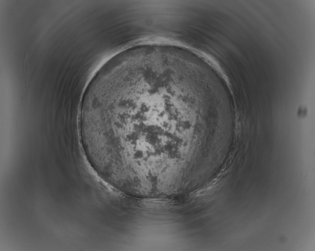 X0000088870863200706291539