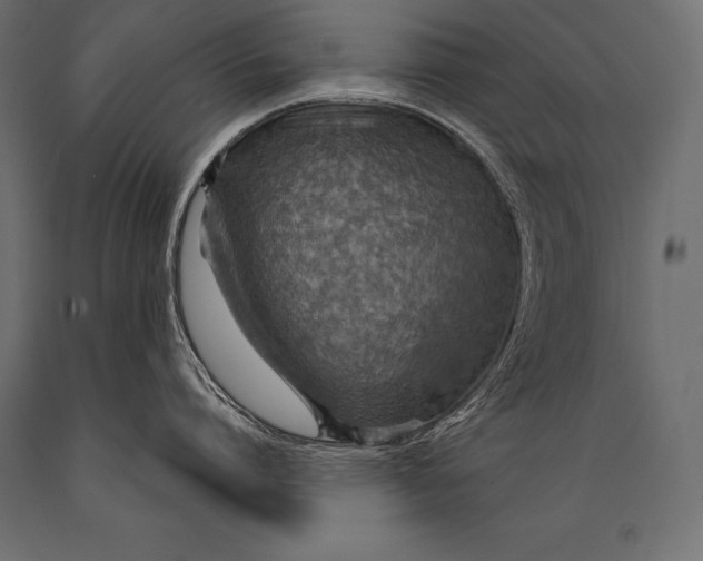 X0000088870864200706291539