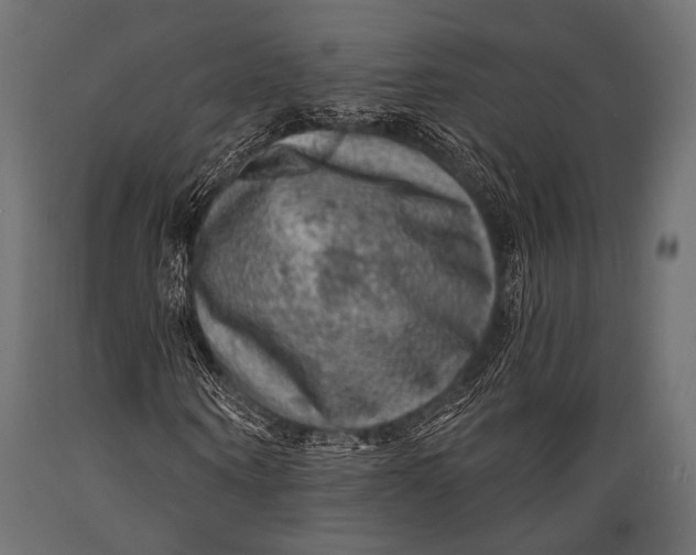 X0000088870866200706291538