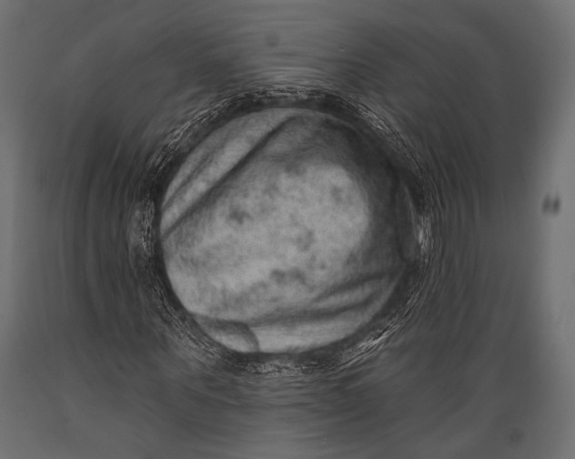 X0000088870867200706291538