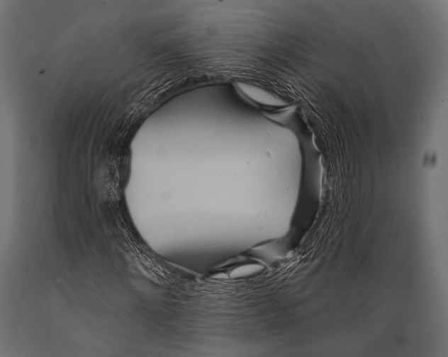 X0000088870868200706291538