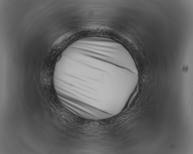 X0000088870869200706291538