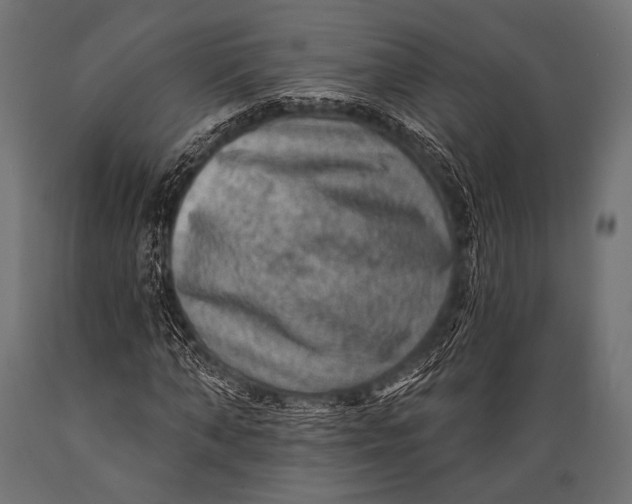 X0000088870870200706291538