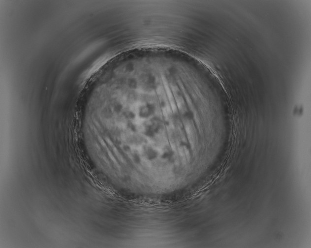X0000088870871200706291538