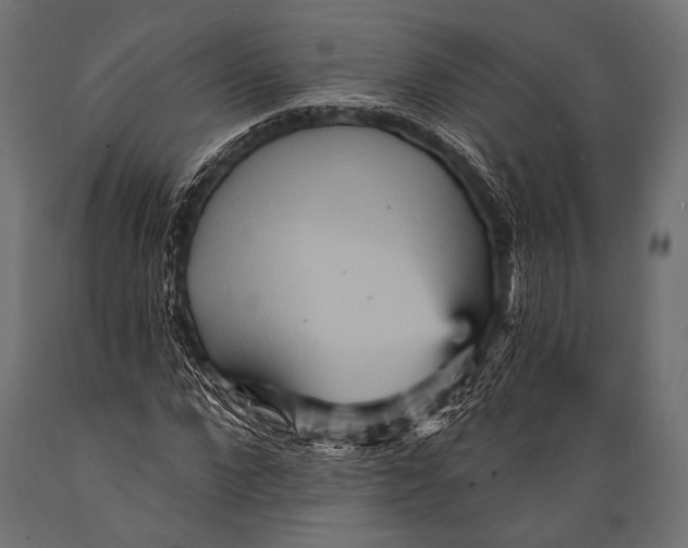 X0000088870872200706291538