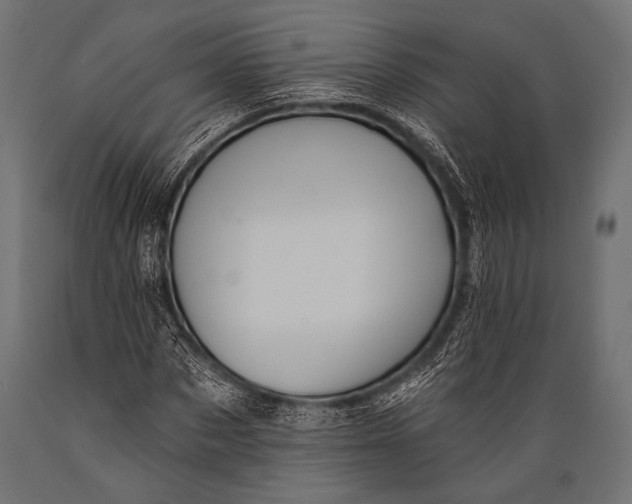 X0000088870873200706291538
