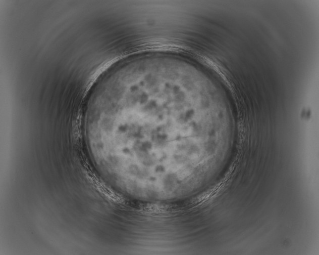 X0000088870875200706291538