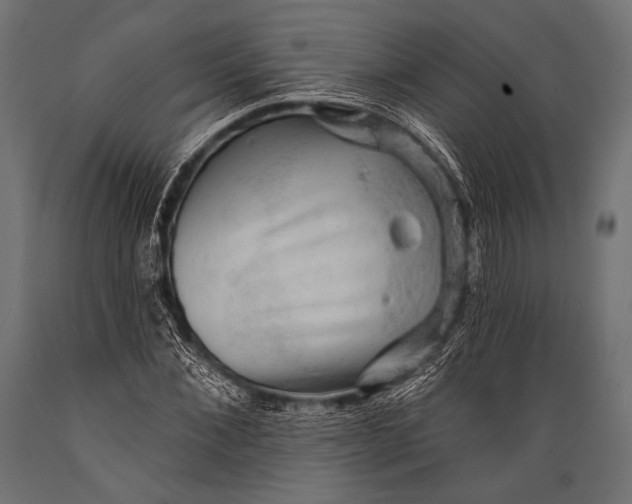 X0000088870876200706291538