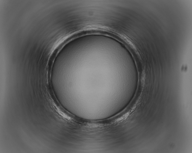 X0000088870877200706291538