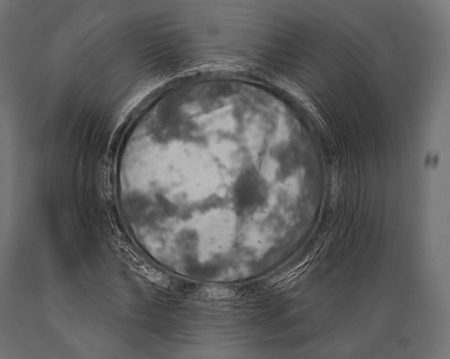 X0000088870878200706291538
