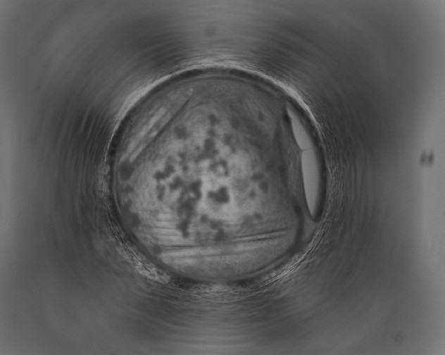 X0000088870879200706291538