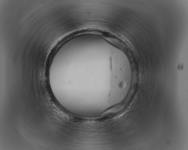 X0000088870880200706291538