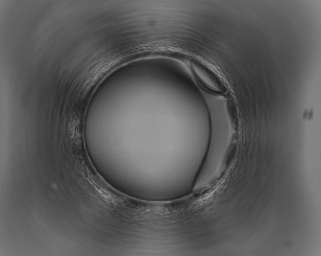 X0000088870881200706291538