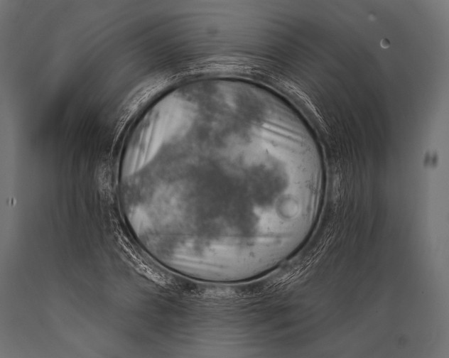 X0000088870882200706291538