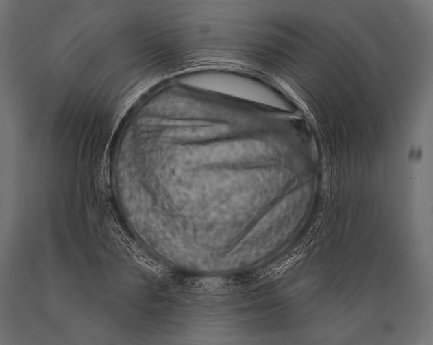 X0000088870883200706291538