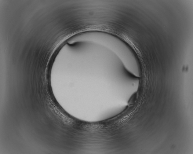X0000088870884200706291538