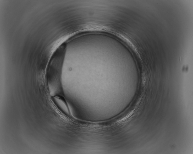 X0000088870885200706291538