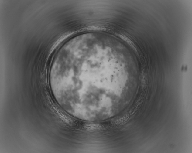 X0000088870886200706291538