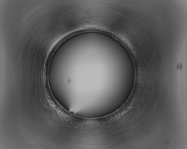 X0000088870888200706291538