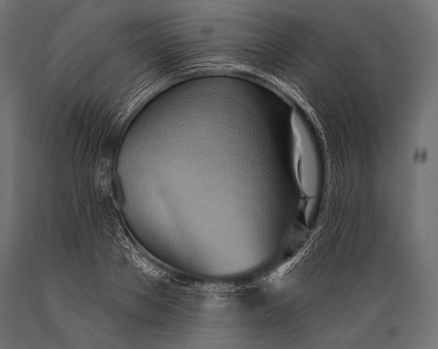 X0000088870889200706291538