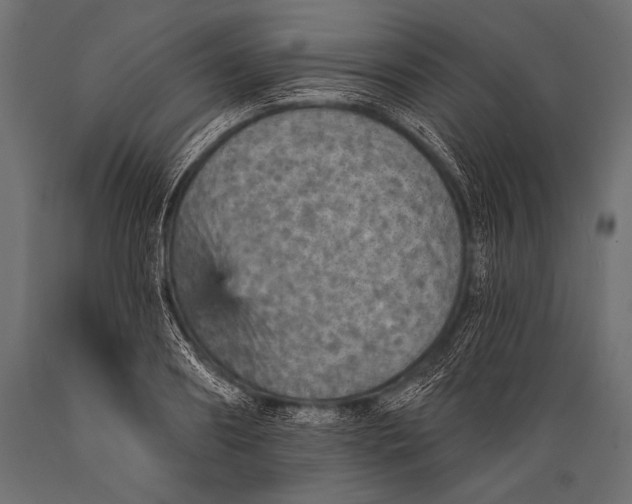 X0000088870890200706291538