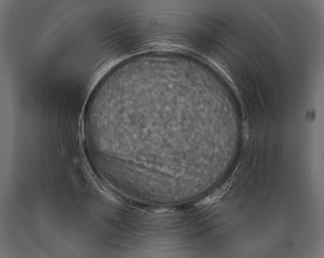 X0000088870891200706291538