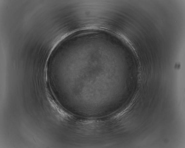 X0000088870892200706291538