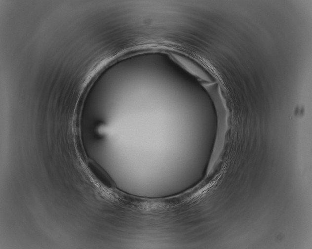 X0000088870893200706291537