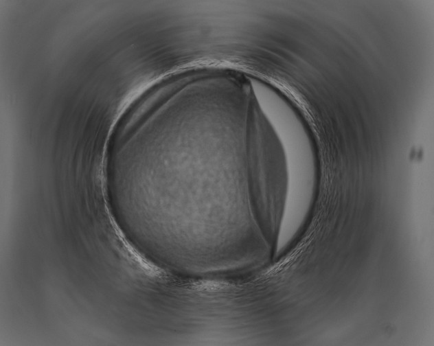 X0000088870894200706291537