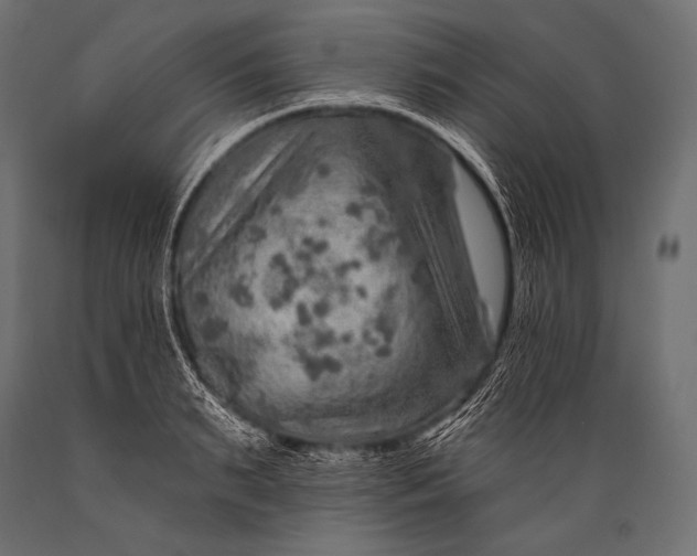 X0000088870895200706291537