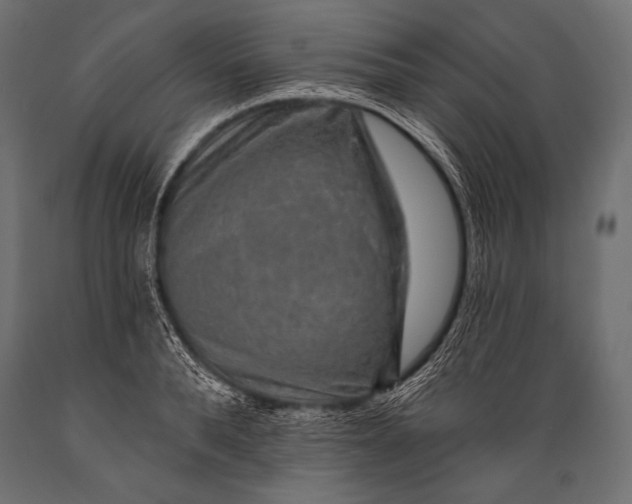 X0000088870896200706291537