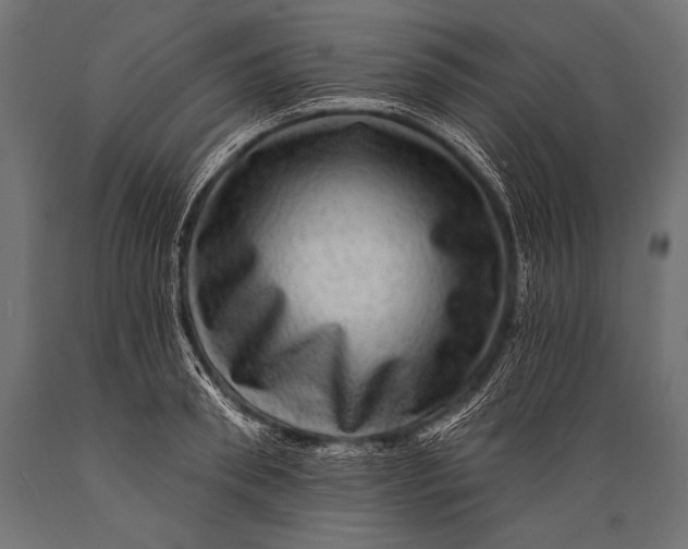 X0000088870898200706291537