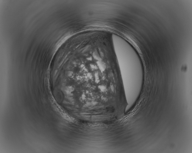 X0000088870899200706291537